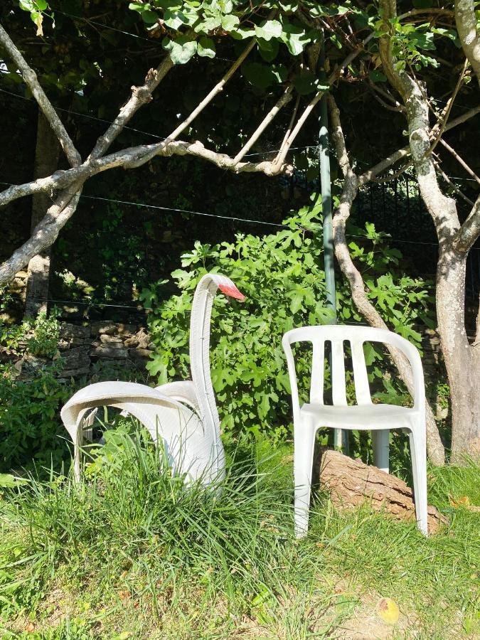 Casa Da Risca Lejlighed Unhais Da Serra Eksteriør billede